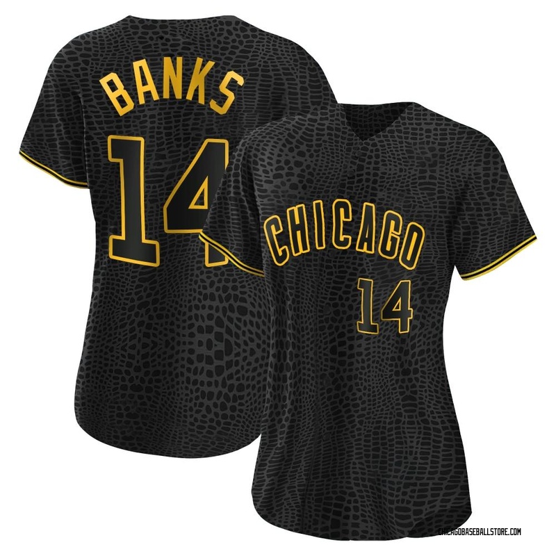 Chicago Cubs Ernie Banks #14 2020 Mlb Grey Jersey - Bluefink