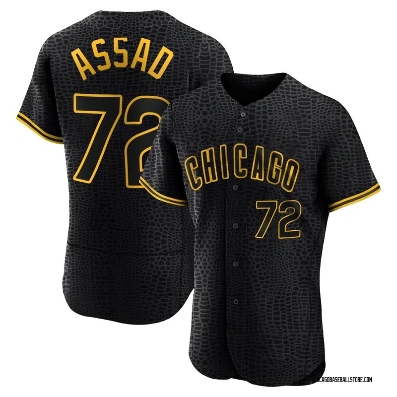 Javier Assad South Bend (Chicago) Cubs #30 Game Used Worn Signed MiLB  Baseball Size 48 Jersey