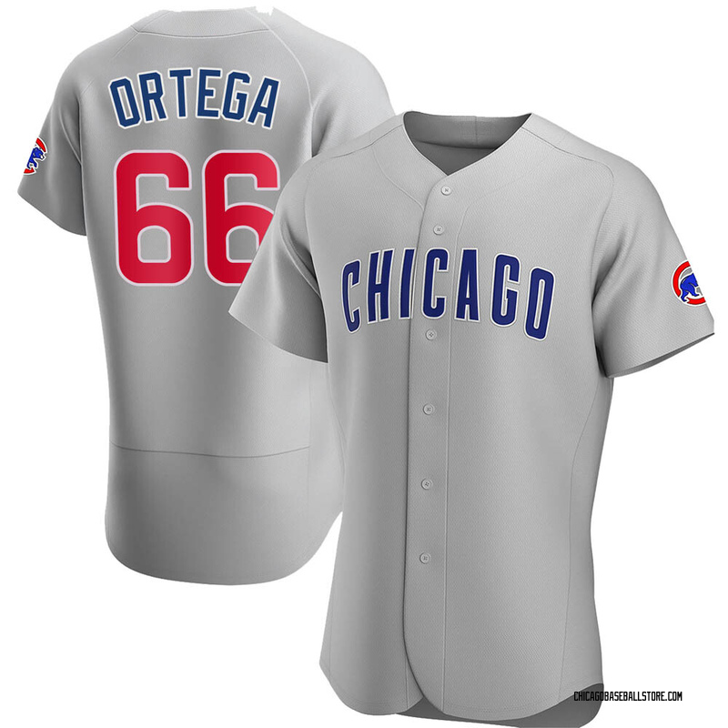 Rafael Ortega Men's Chicago Cubs Road Jersey - Gray Authentic