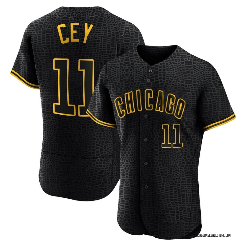 Ron Cey Chicago Cubs Women's Navy Roster Name & Number T-Shirt 